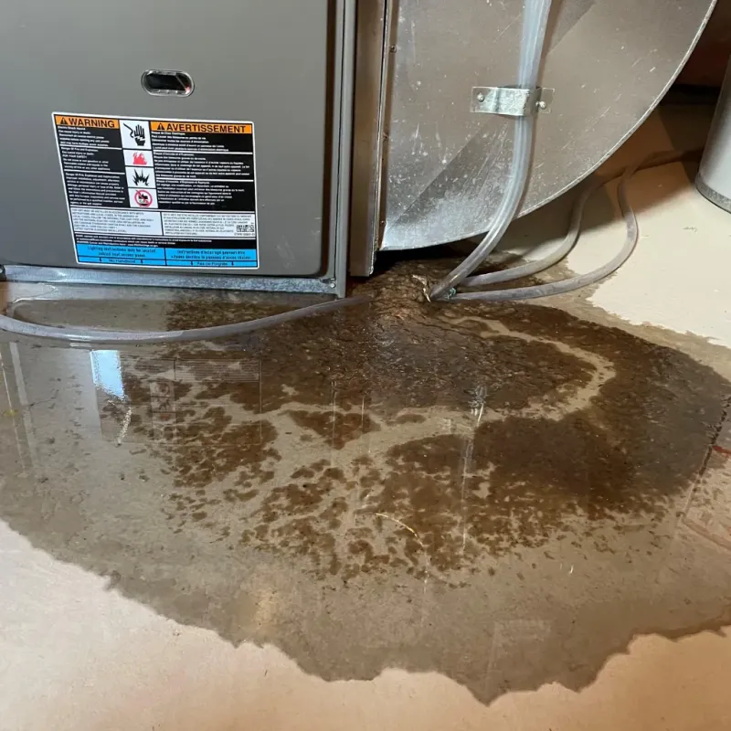 Appliance Leak Cleanup in Rancho Penasquitos, CA