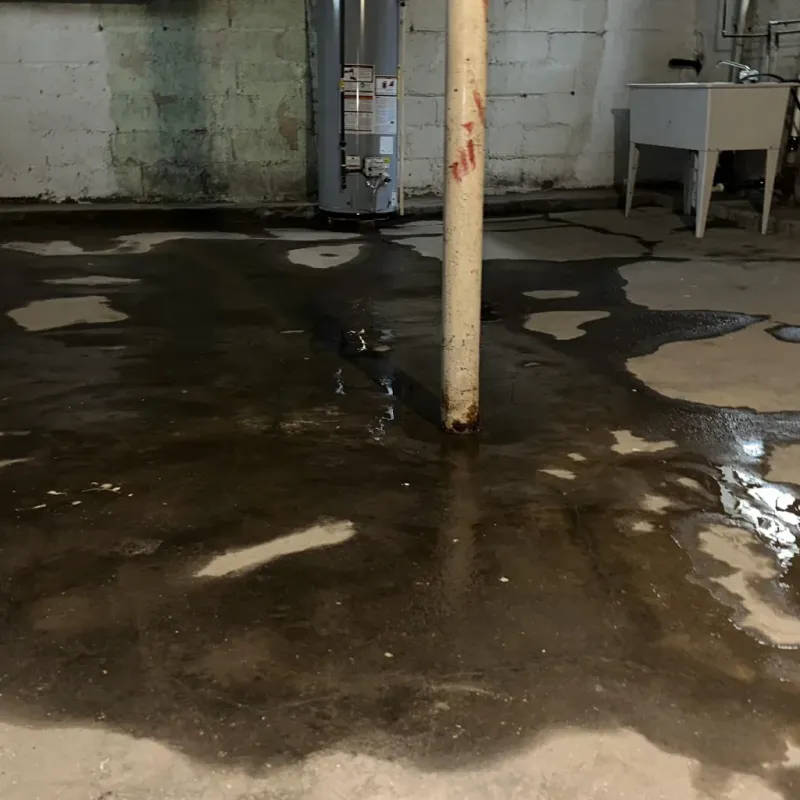 Emergency Water Extraction And Removal in Rancho Penasquitos, CA